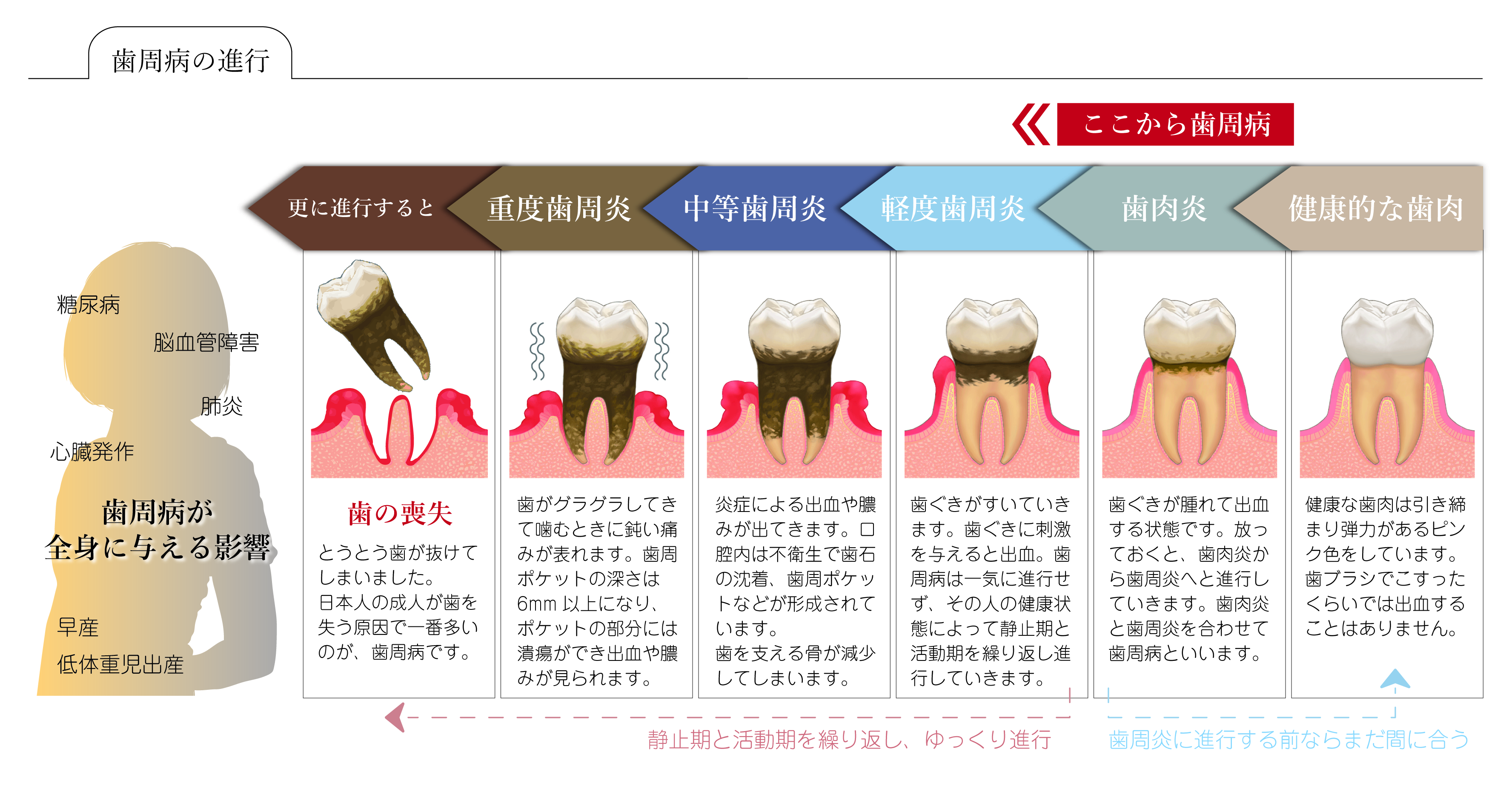 一般歯科 大阪府東大阪市の歯科